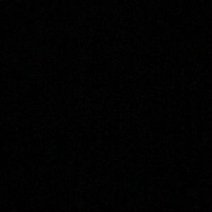 Meet your Posher, Dalia